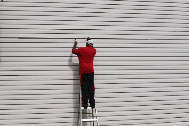 Best Custom Siding Design  in Ligh, NE